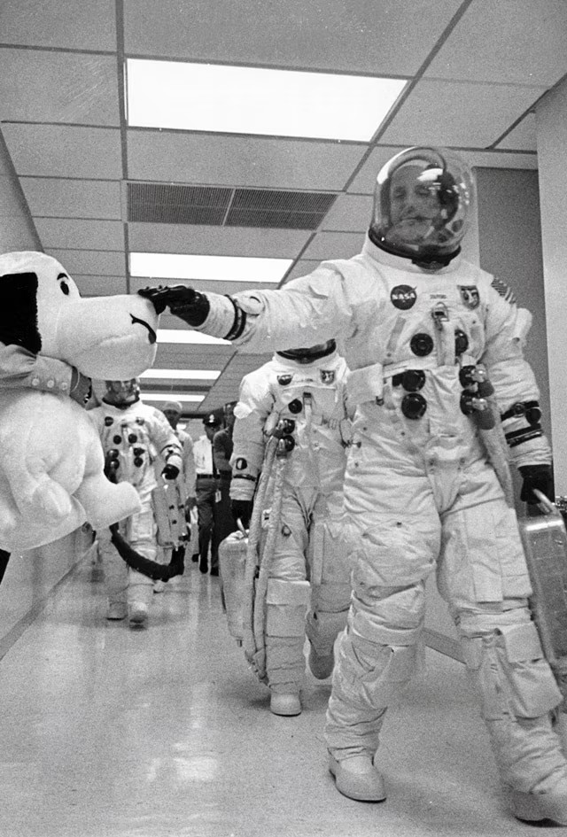 310.32.42.50.02.001の歴史