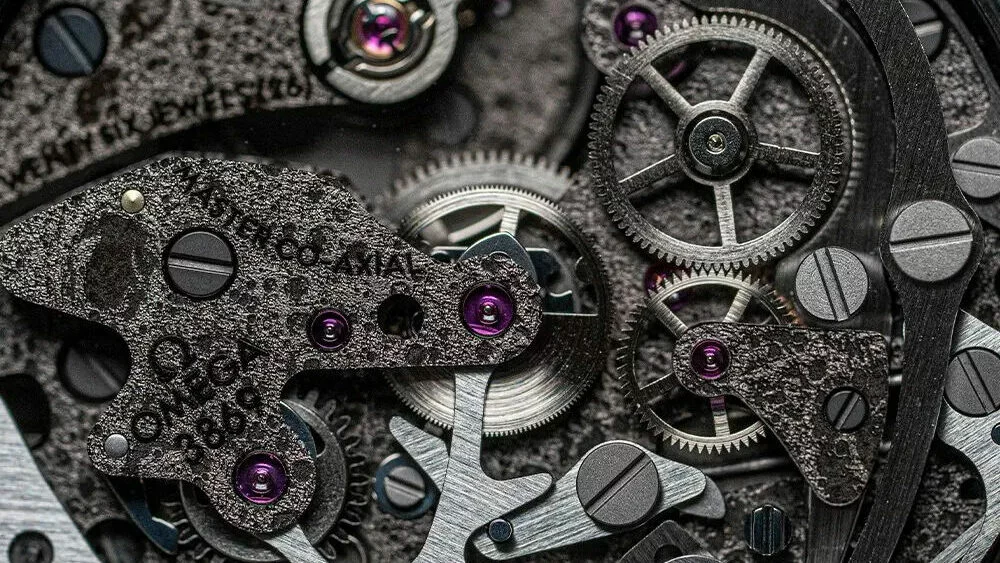 310.92.44.50.01.001のケースバック