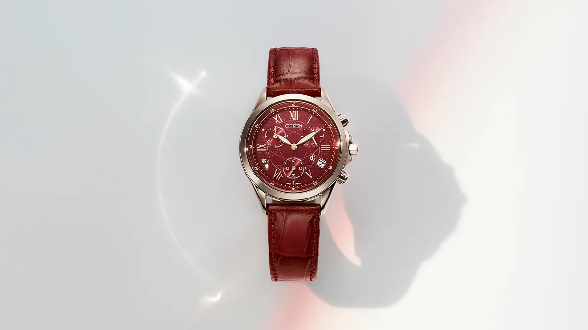 シチズン FB1405-15Wのケース全貌