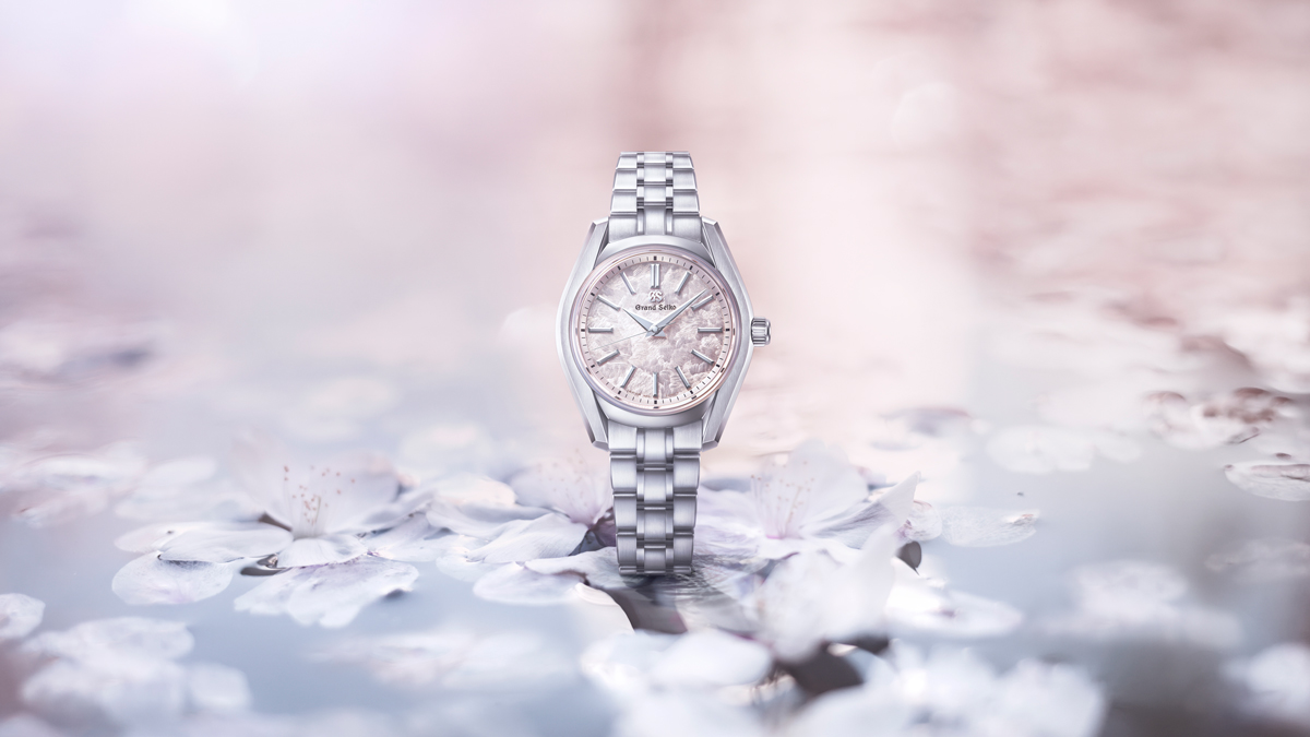 SBGX363のキービジュ