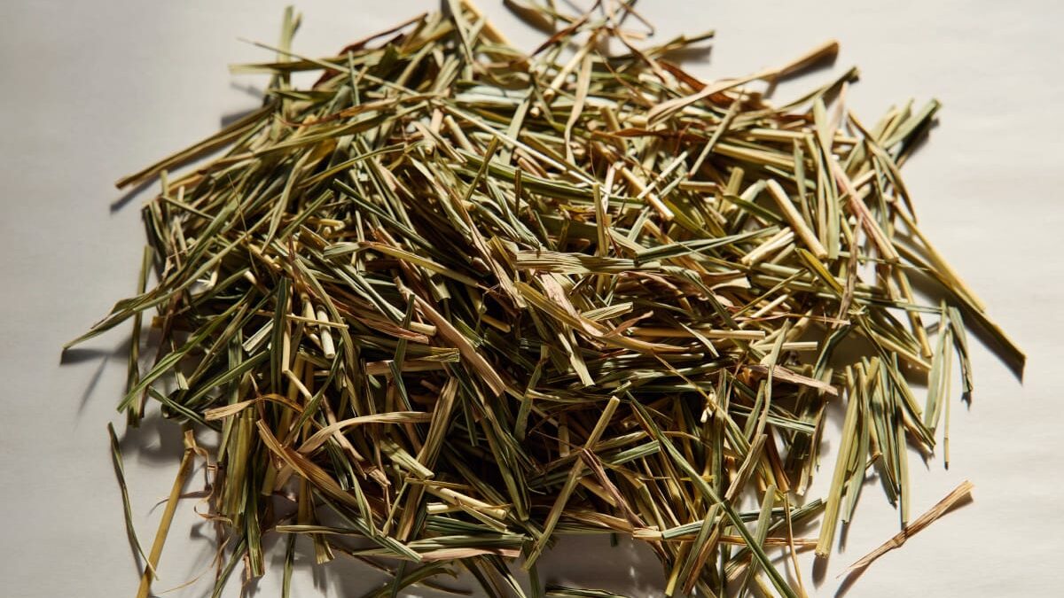 AQ4091-56Wのダイアル和紙の素材